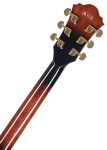 Ibanez AG95QA Dark Brown Sunburst