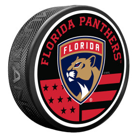 Mustang Puk Florida Panthers NHL American Flag Pat Puck