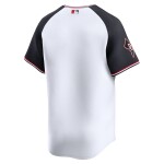 Nike Pánský dres Washington Nationals MLB Limited Baseball Classic Alternate Velikost: M