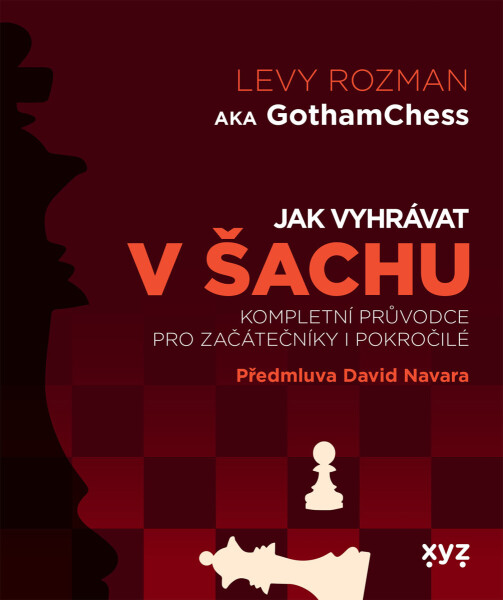 Jak vyhrávat v šachu - Levy Rozman