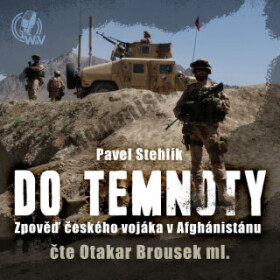 Do temnoty - Pavel Stehlík - audiokniha