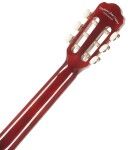 Tanglewood EM C2
