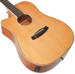 Tanglewood TW5 CE NA LH