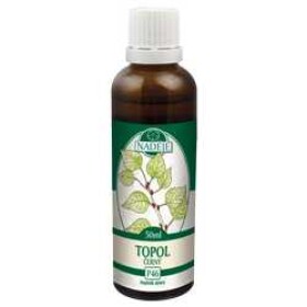 Naděje Topol bylinná tinktura 50 ml