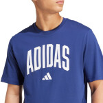 Tričko adidas Collegiate Lineage Graphic M JM6417 pánské m