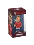 MINIX Hložek