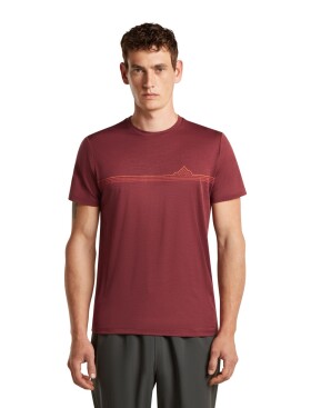 Pánské merino triko krátký rukáv ICEBREAKER Mens Merino 150 Tech Lite SS Tee Range Stripes, Port velikost: XXL