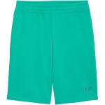 Pánské šortky Puma ESS No.1 Logo 10" (s) zelené 682595 40 s