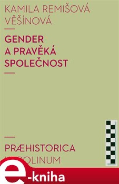 Gender a pravěká společnost - Kamila Remišová Věšínová (e-kniha)