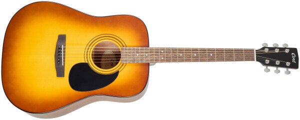 Cort AD810