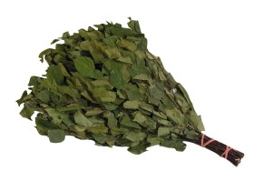 Saunová metlička, bříza