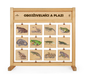 Tabulky poznání stolní - Obojživelníci a plazi