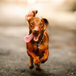 Nástěnný poznámkový kalendář 2026 NOTIQUE - Úsměv, prosím, 30 x 30 cm