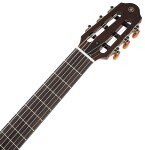 Yamaha SLG200N TBL