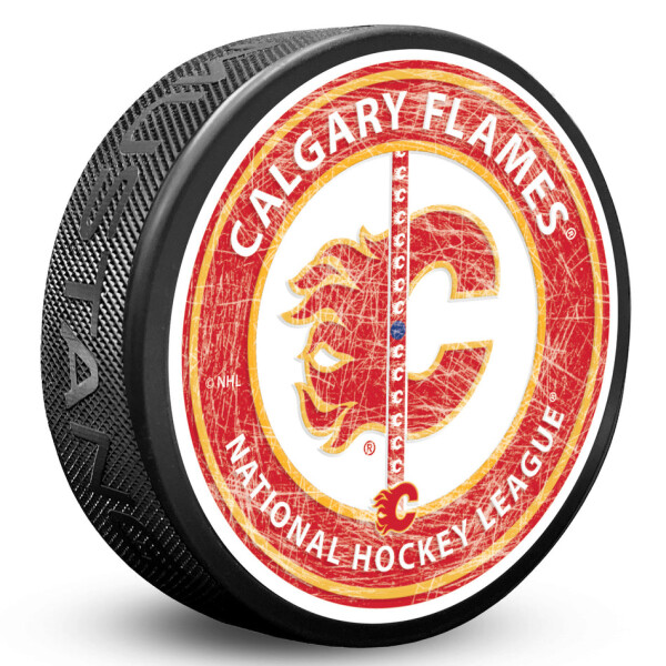 Mustang Puk Calgary Flames NHL Center Ice