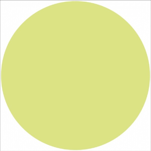 B.T. samolepka - Terčíky pro označení schodnic fotoluministenční 5 cm