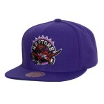 Mitchell & Ness Pánská kšiltovka Toronto Raptors NBA Conference Patch Snapback Hardwood Classics