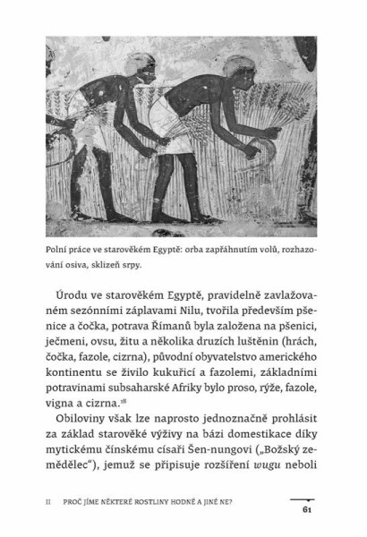 Jak nasytit planetu - Václav Smil