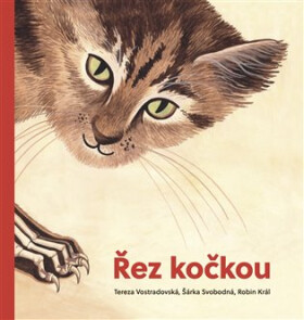 Řez kočkou - Tereza Vostradovská