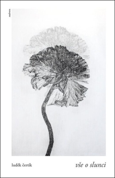 Vše o slunci - Luděk Čertík