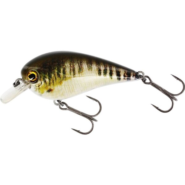 Westin Wobler BassBite 2.5 Squarebill Floating Real Minnow,Westin Wobler BassBite 2.5 Squarebill Floating Real Minnow