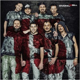 Divokej Bill 15 - LP - Divokej Bill
