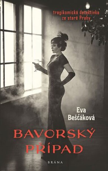 Bavorský případ - Eva Bešťáková - e-kniha