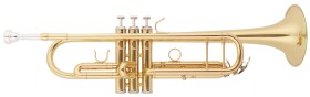 Bacio Instruments BTR-01L