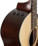 Taylor 354ce