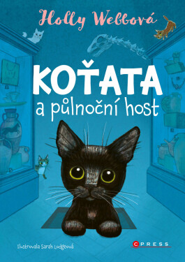 Koťata a půlnoční host - Holly Webbová