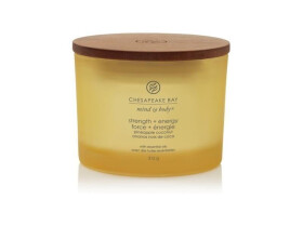 Vonná svíčka CHESAPEAKE BAY CANDLE Strength Energy 312g / 3 knoty