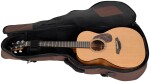 Furch Blue OM-CM CNR Active 2026