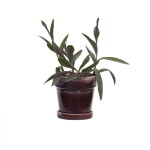MADAM STOLTZ Květináč s podmiskou Purple Ø 13 cm, fialová barva, keramika