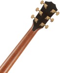 Taylor 924ce-K 50th Anniversary + Circa 74 amp Limited Edition