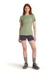 ICEBREAKER Wmns Mer 150 Tech Lite SS Tee Single Line C, Lichen (vzorek) velikost: S