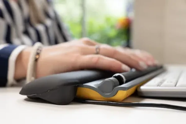 BakkerElkhuizen ErgoSlider Plus / Ergonomická centrální myš / kabelová / 1600 DPI / 5 tlačítek (BNEESLDG)
