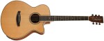 Tanglewood TRU 4 CE BW