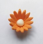Dortisimo Cukrová sedmikráska malá oranžová (25 ks)