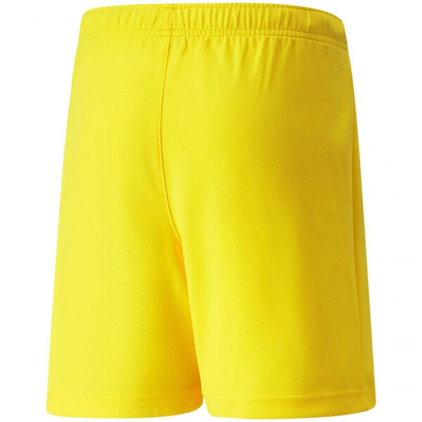 Dětské šortky TeamRise Short Jr 704943 07 - Puma 140cm