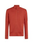 ICEBREAKER Mens Merino 260 Quantum IV LS Zip, Agate velikost: S