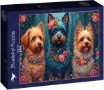 BLUEBIRD Puzzle Psí trio
