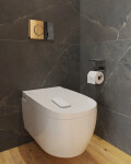 Vitra V CARE 1.1 basic bidet + wc, dálkový ovladač, 5674B003-6193 5674B003-6193