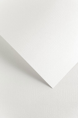 Galeria Papieru Borneo reliéfní karton A4 220 g/m2 bílý