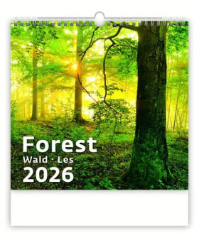 Kalendář nástěnný 2026 - Forest/Wald/Les