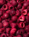 Vilgain Višně lyofilizované – 130 g