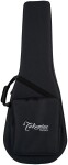 Takamine P4DC