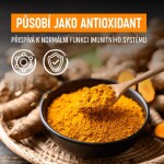 Organis Kurkumin + piperin 60 tbl.