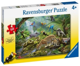 Ravensburger 60 dílků