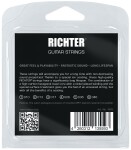 Richter Electric Guitar Strings Ion Coated, Medium 10-46