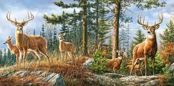 Castorland 400317 Královská jelení rodina